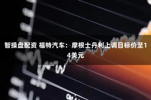 智操盘配资 福特汽车：摩根士丹利上调目标价至14美元