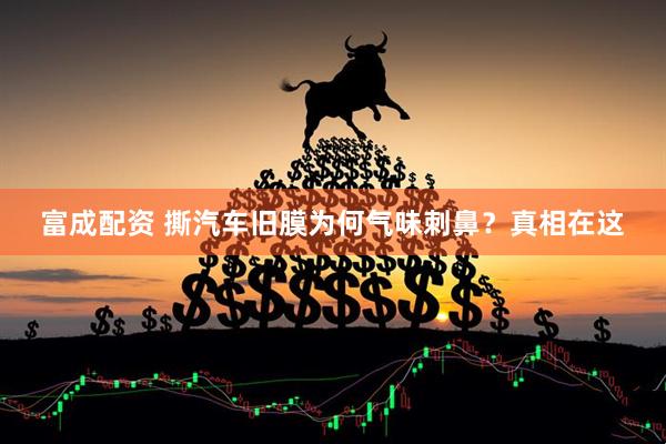 富成配资 撕汽车旧膜为何气味刺鼻？真相在这