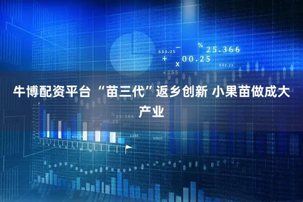 牛博配资平台 “苗三代”返乡创新 小果苗做成大产业
